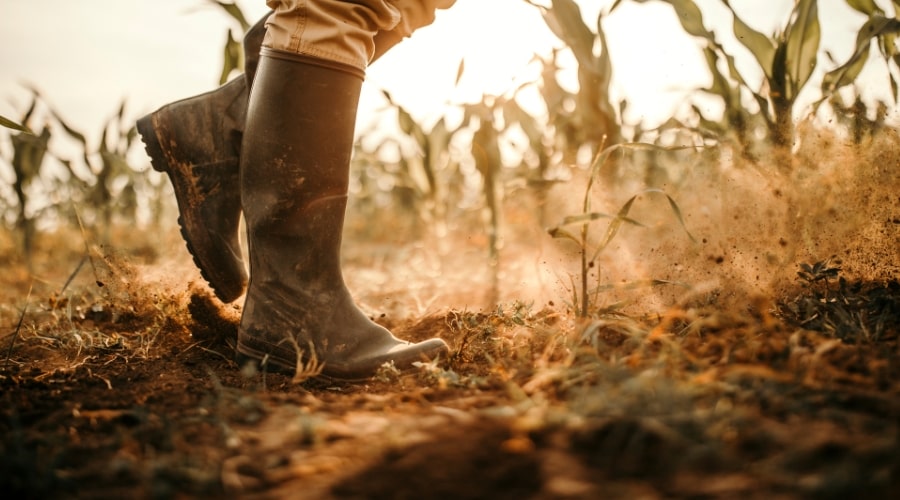 Creating a Farm Budget for Financial Success
