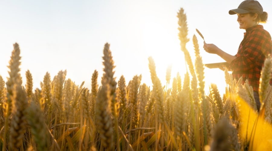 Avoiding Overcapitalization in Farm Investments