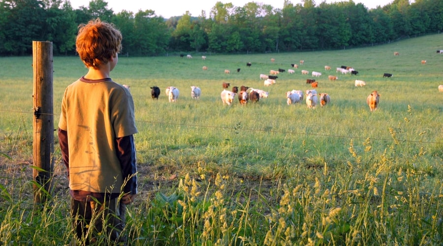 Managing Farm Debt to Protect Your Land