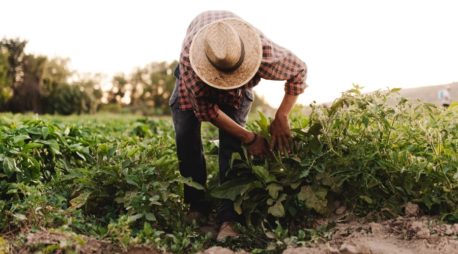Planning Financially for Farmer Retirement