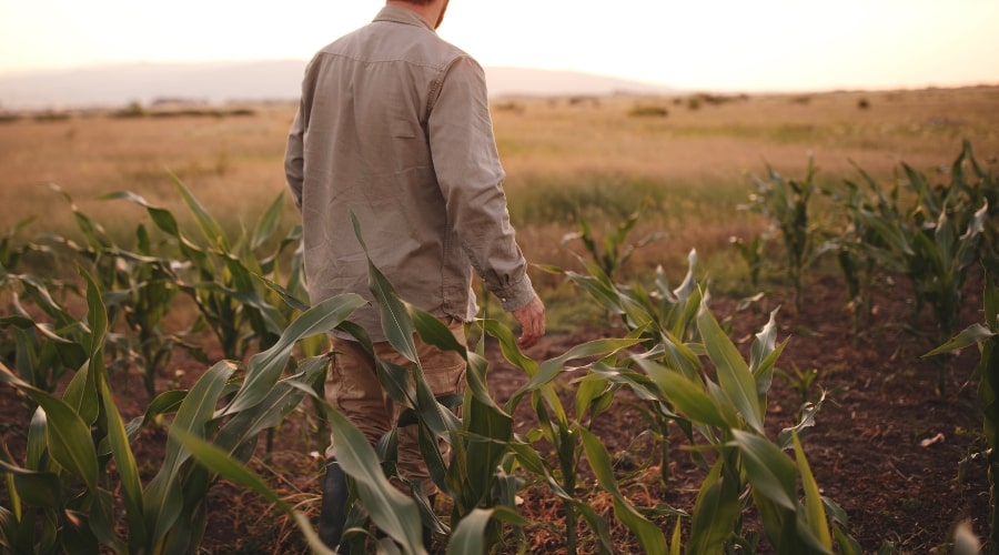 Boosting Profits with Direct Farm Sales