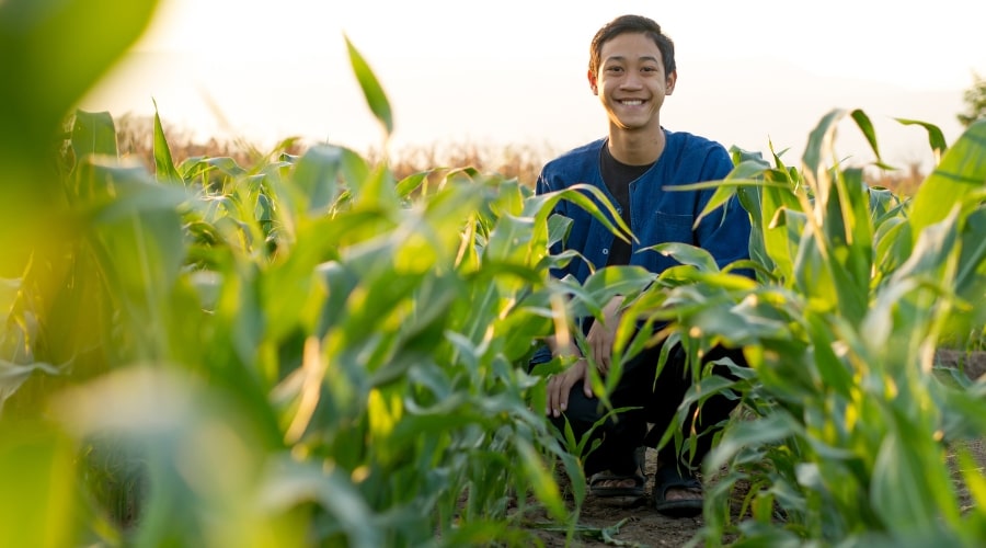 Building an Emergency Fund for Farmers