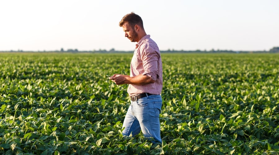 Boost Your Farm Income with Local Markets