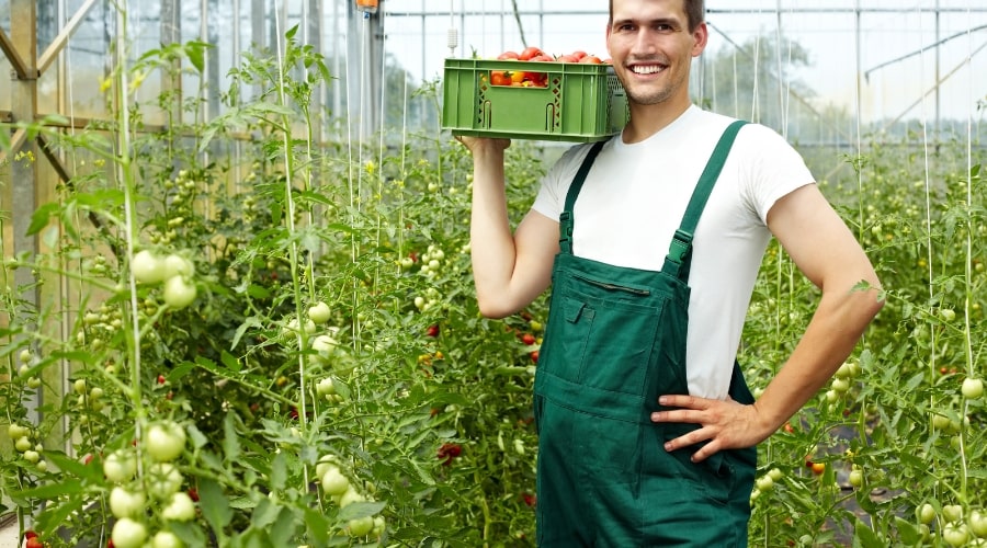 Managing Financial Stress and Mental Health for Farmers