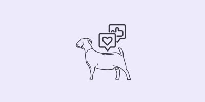 Social Media Branding Social Media Branding
