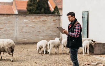 Simplify Your Farm, Simplify Your Life Simplify Your Farm, Simplify Your Life